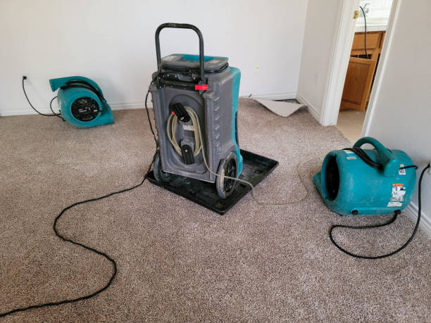 Best Water damage restoration near me  in Elwood, UT