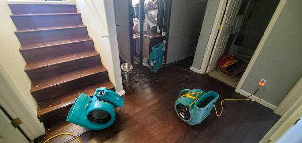 Best Water damage contractors near me  in Elwood, UT