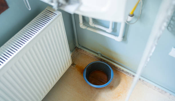 Best Basement water damage restoration  in Elwood, UT