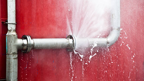 Best Flood restoration services  in Elwood, UT