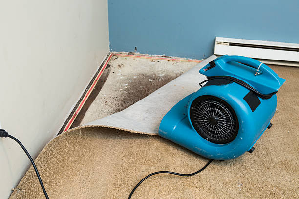 Best Commercial water damage restoration  in Elwood, UT